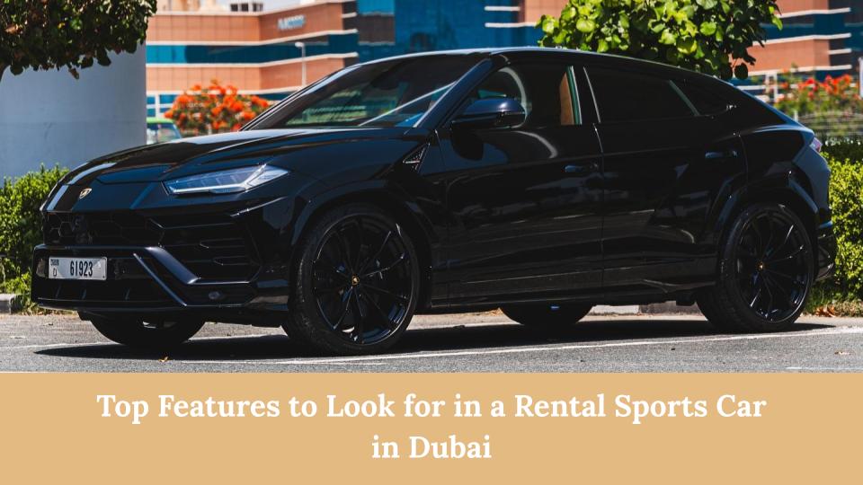 Sports Car Rental